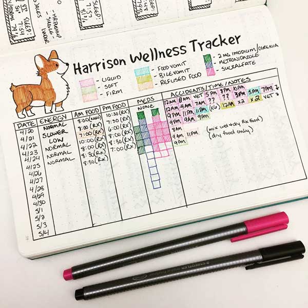 150 Habits To Track In Your Bullet Journal - GenTwenty