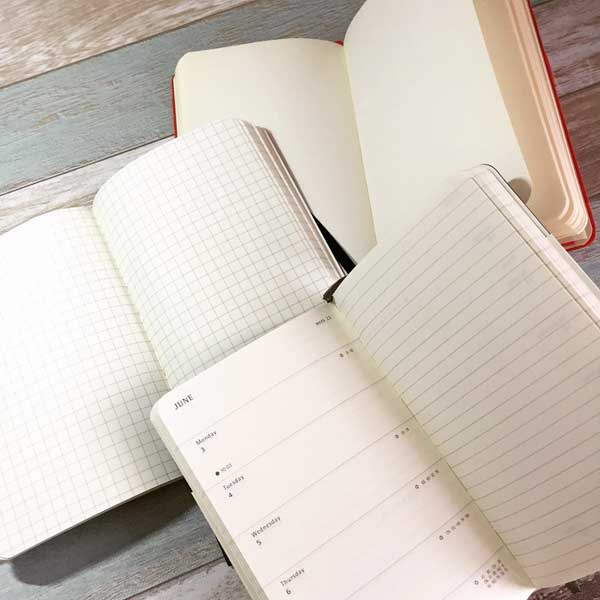 Moleskine blank, lined and checkered notebooks