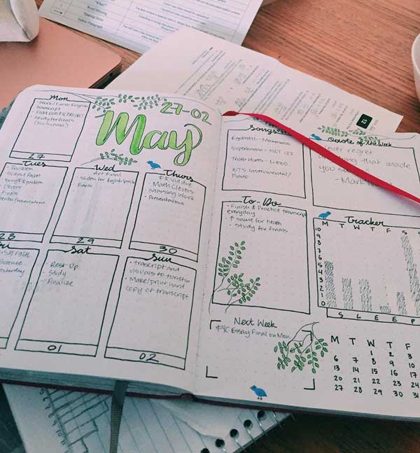 Daily, Weekly, and Monthly Bullet Journal Layout Examples