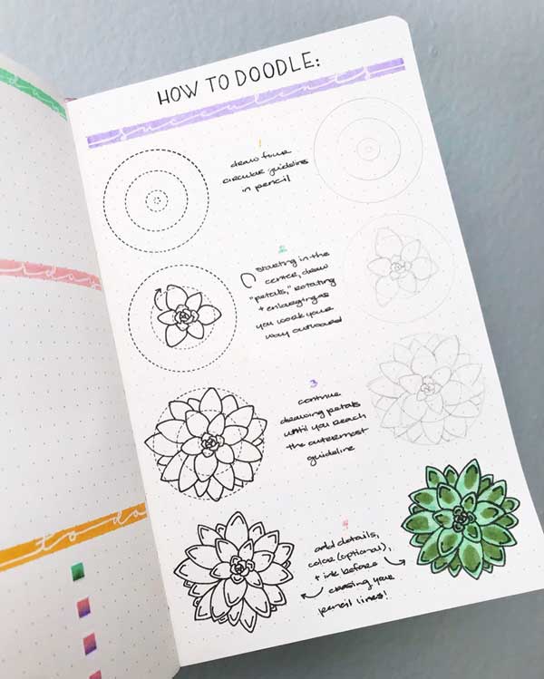 How to draw succulent doodles