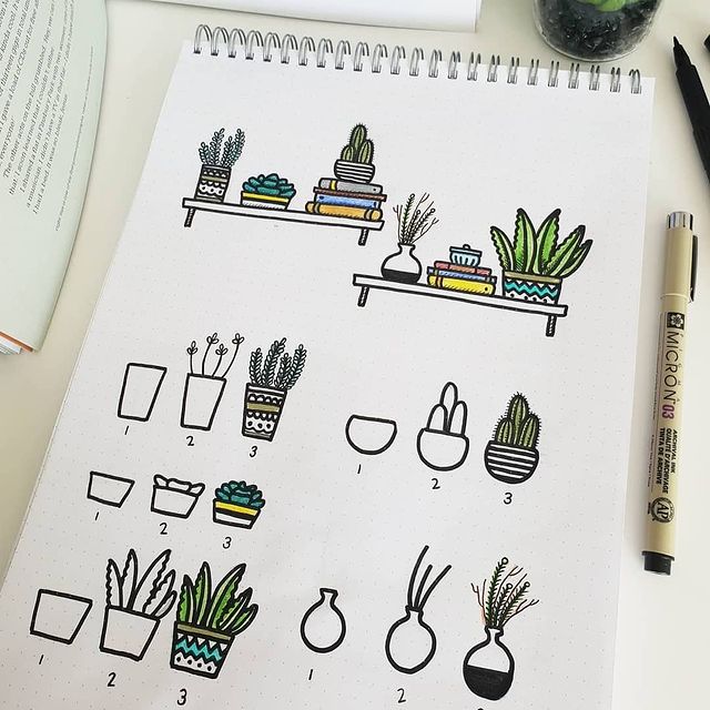 Plants step by step