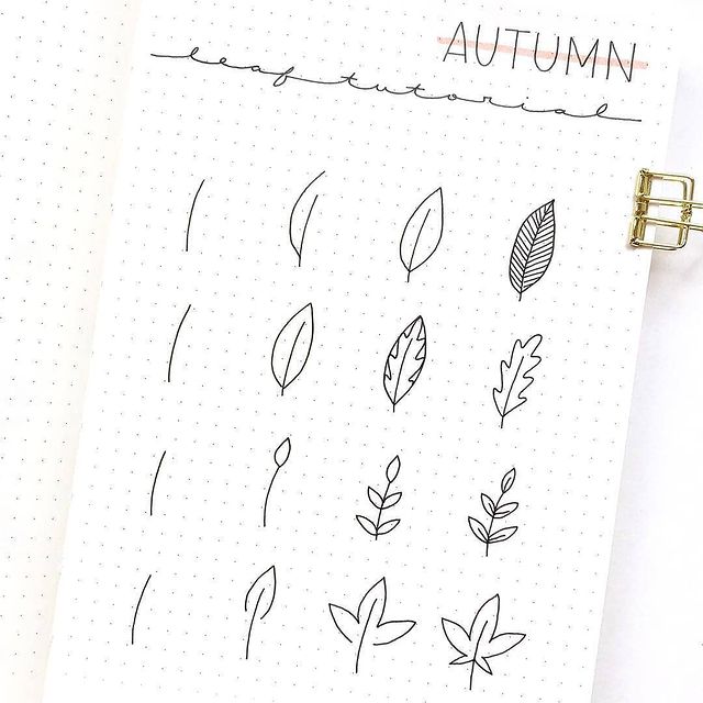 Drawing Autumn leaf step by step