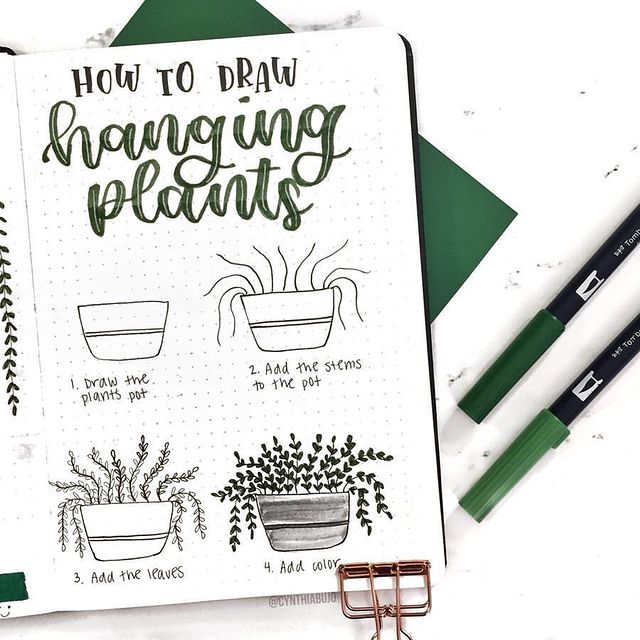 Drawing hanging plants