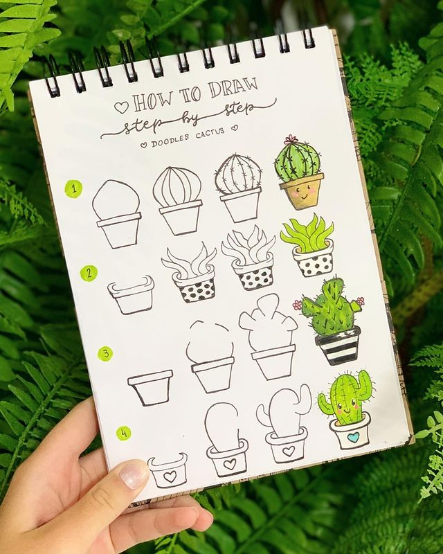 How to draw step by step doodle of cactus