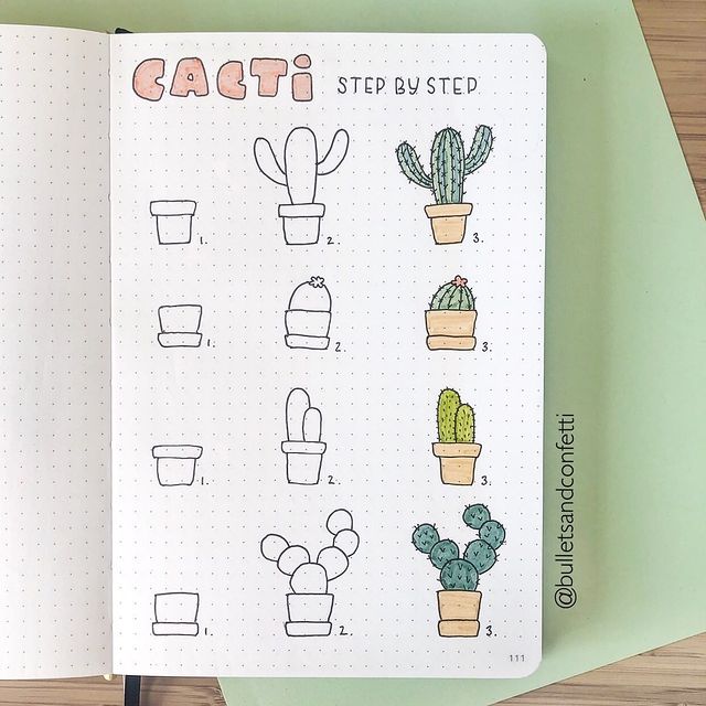 Cacti step by step